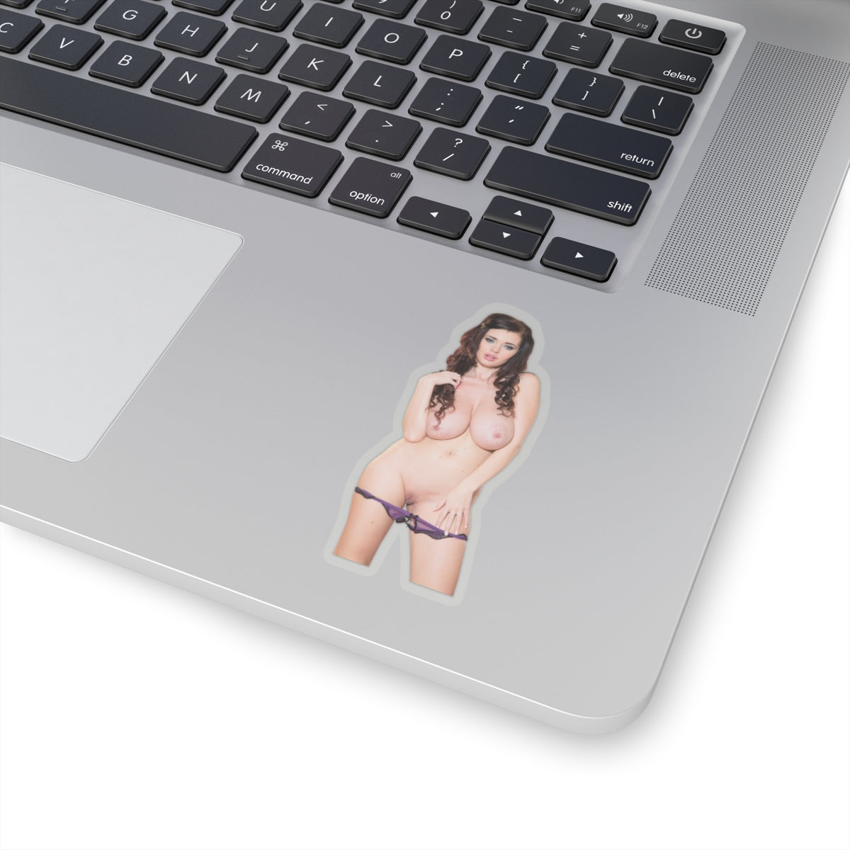 Big Tits Girl Sticker Adult Stickers