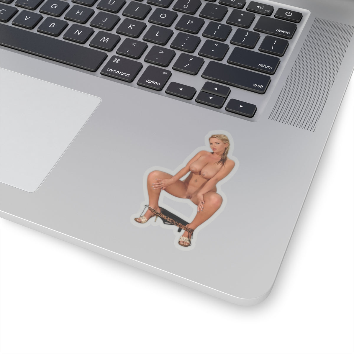 Blonde Sexy Naked Girl Ass Tits Sticker