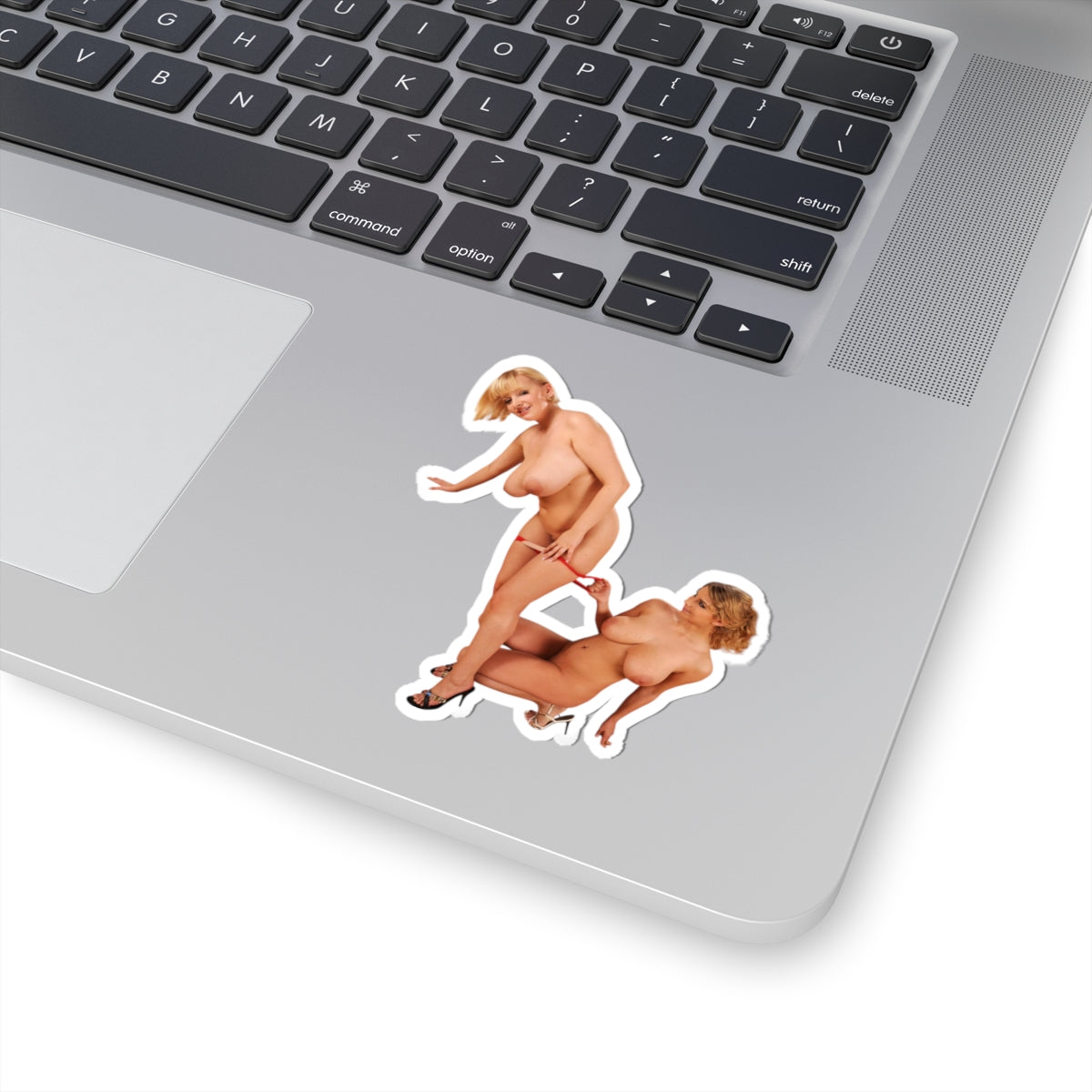 Two Busty Girls Stickers Glamour Woman Adult Decals