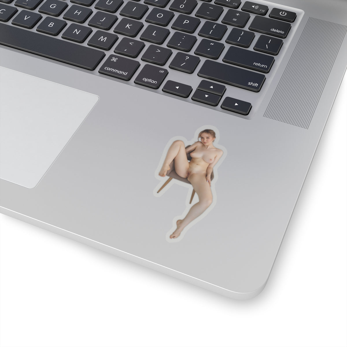 Pinup Stickers Sexy Naked Women Sticker