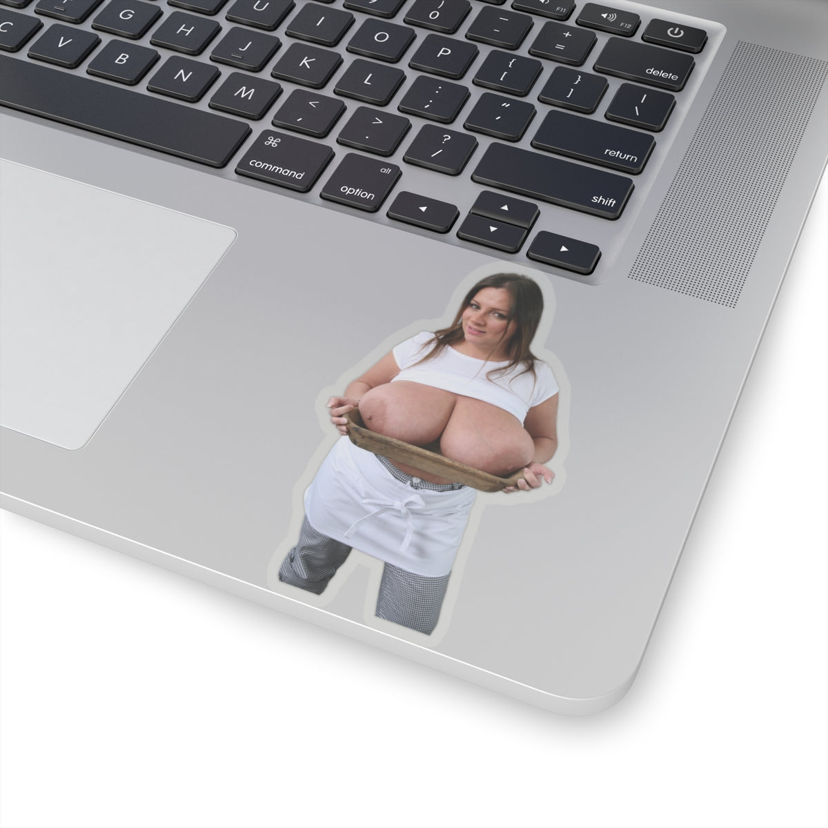 Nadine Jansen Big Tits Model Sticker Sexy Girl Pinup Stickers