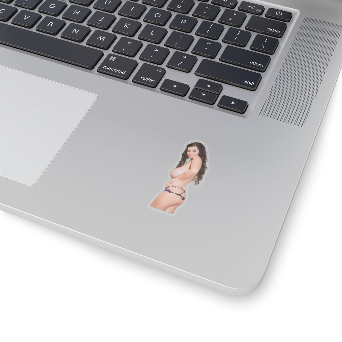 Big Boobs Sexy Girl Sticker Adult Stickers
