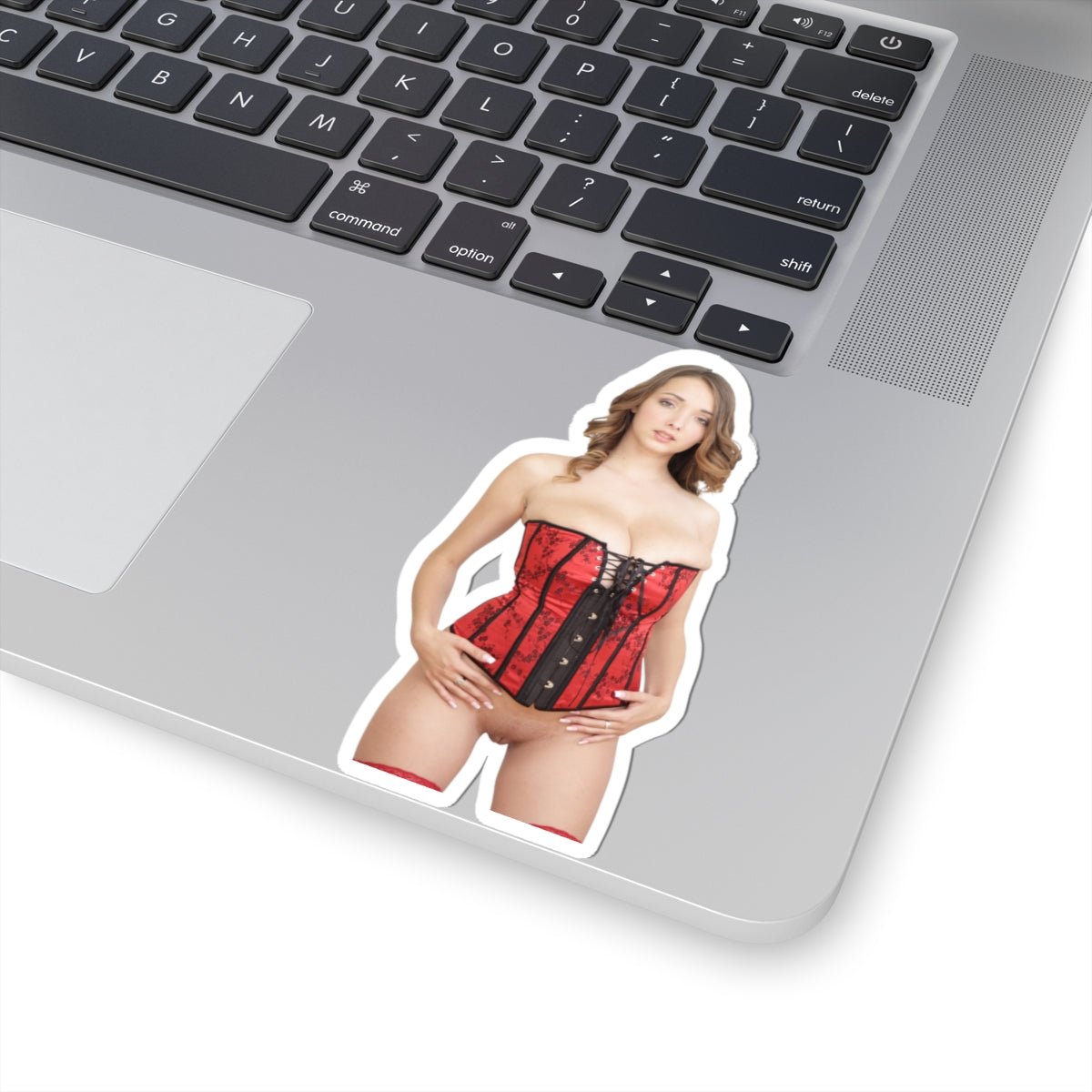 Naked Women Sticker Sexy Adult Stickers