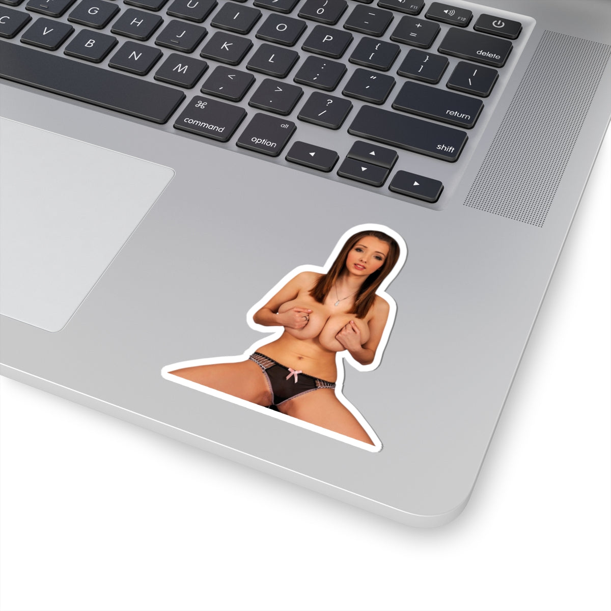 Big Breasts Pinup Girl Sticker