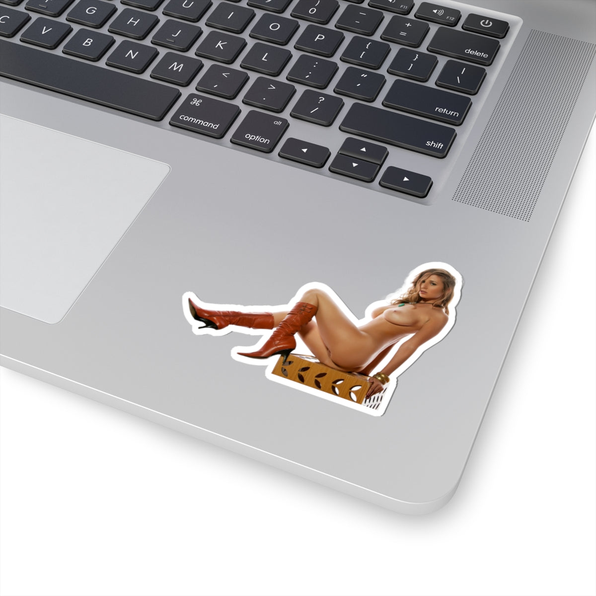 Vintage Pinup Girl Sticker Nude Woman Retro Artwork