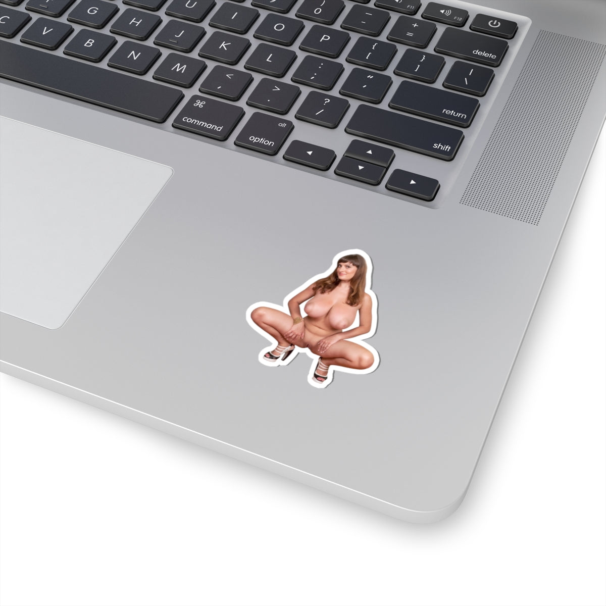 Big Tits Boobs Girl Sticker Uncensoerd Stickers For Adults