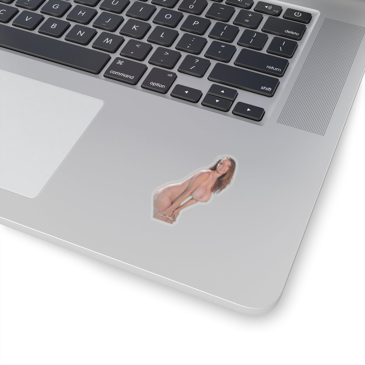 Big Tits Sexy Model Sticker