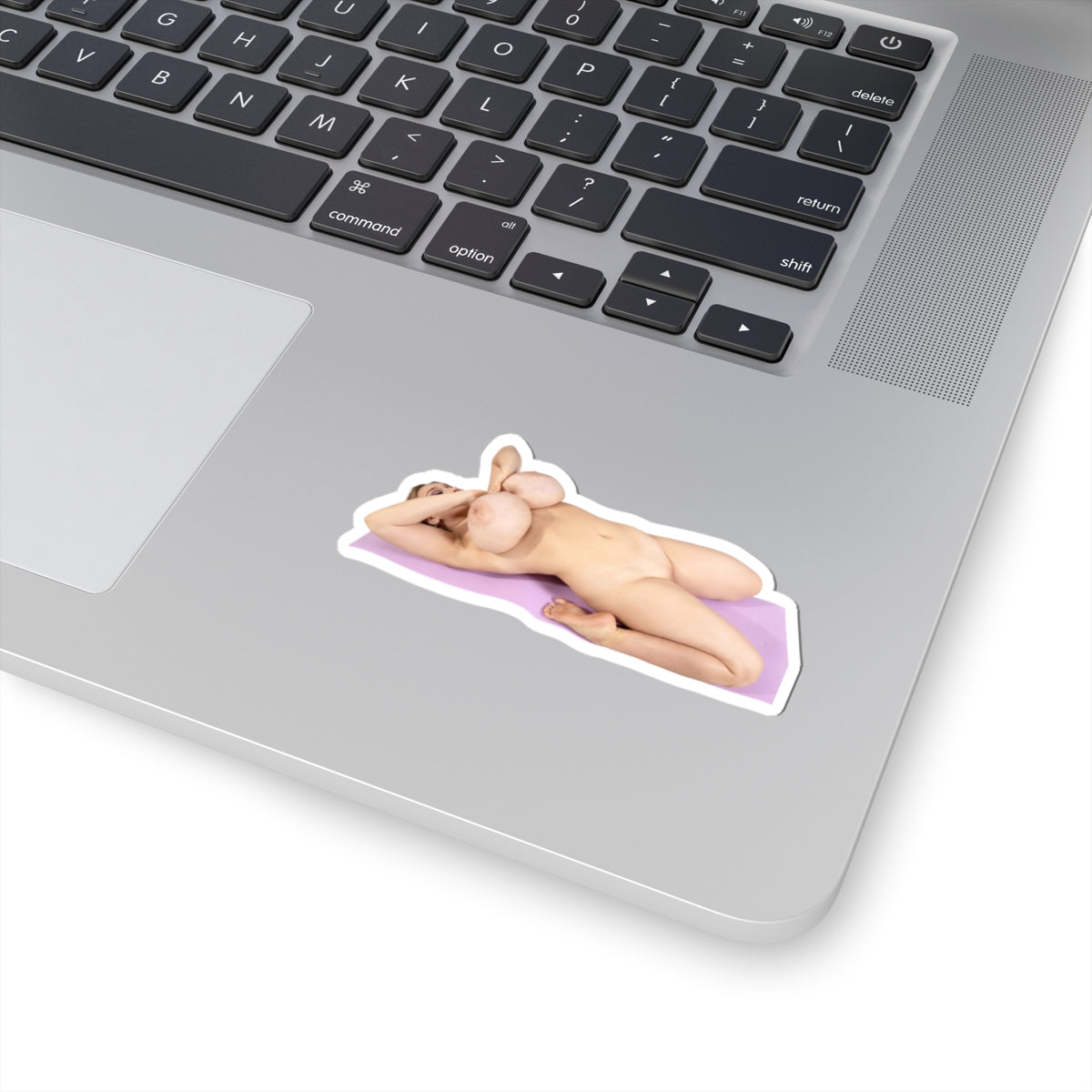 Big Boobs Girl Sticker Naked Pinup Model Stickers