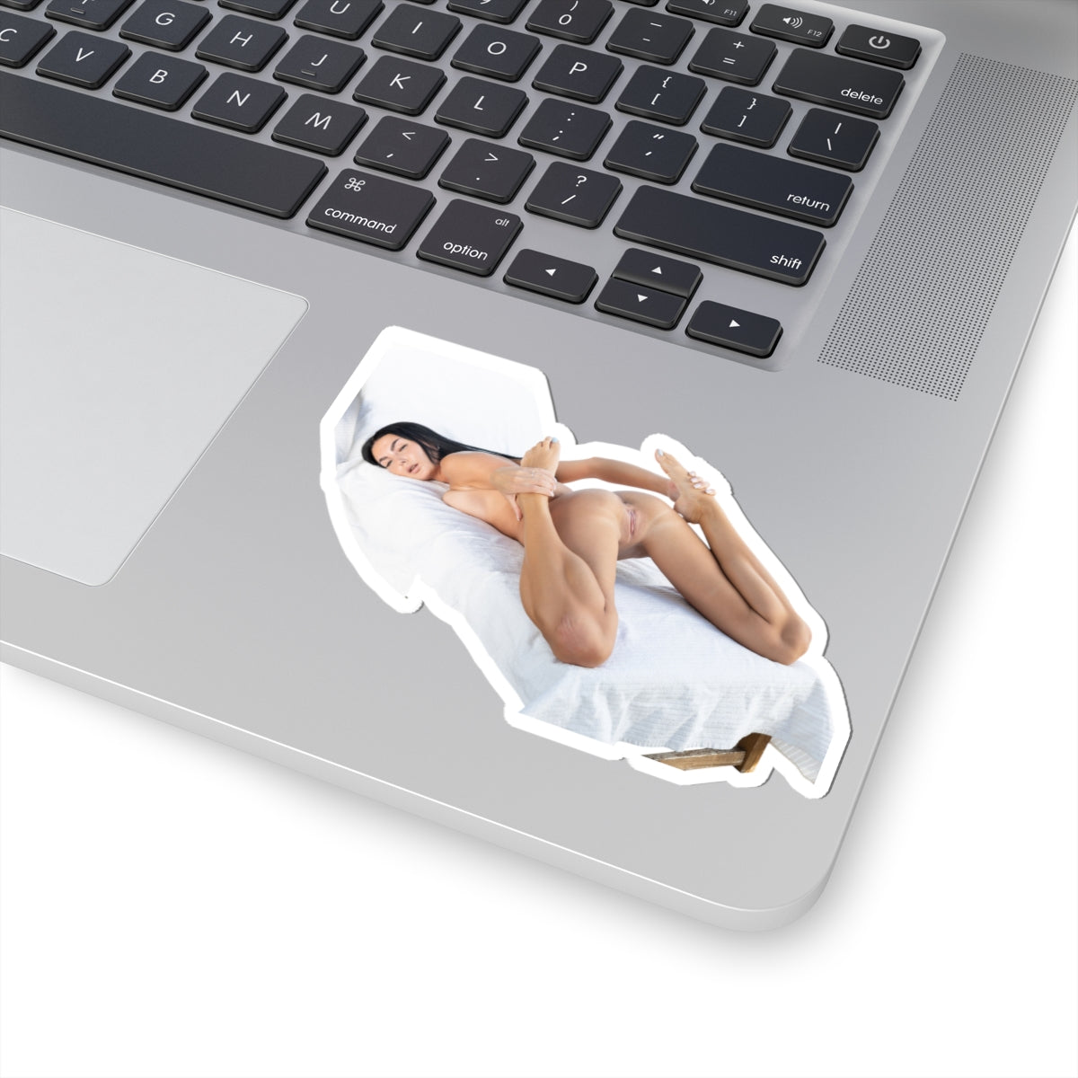 Pinup Model Sticker 5 Sexy Girl