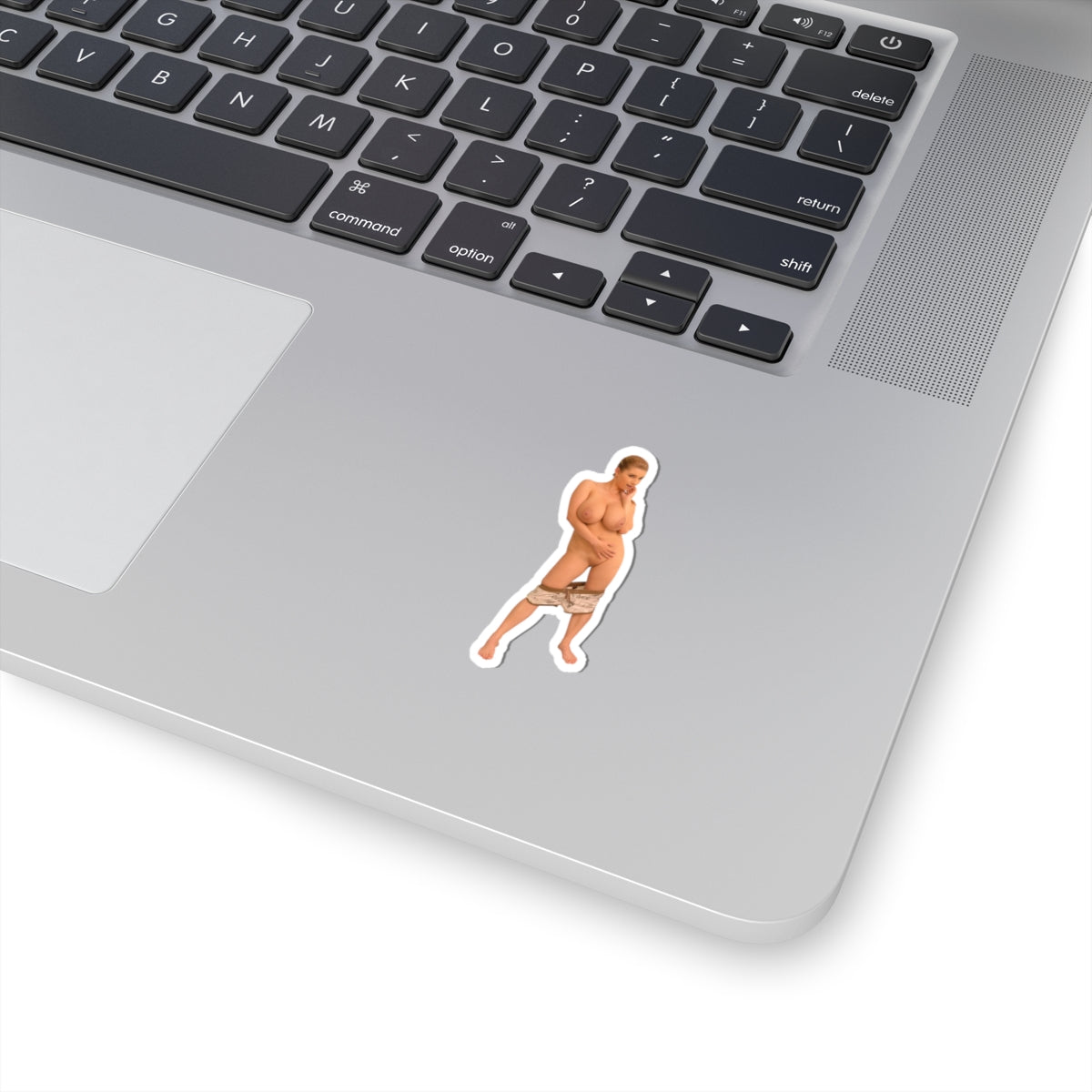 Sexy Big Tits Sticker Boobs Girl Stickers