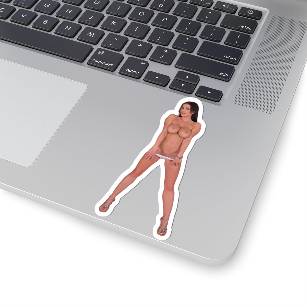 Beautiful Sexy Big Boobs Women Stickers