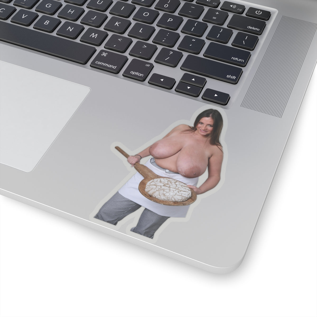 Nadine Jansen Big Boobs Model Sticker Sexy Pinup Stickers