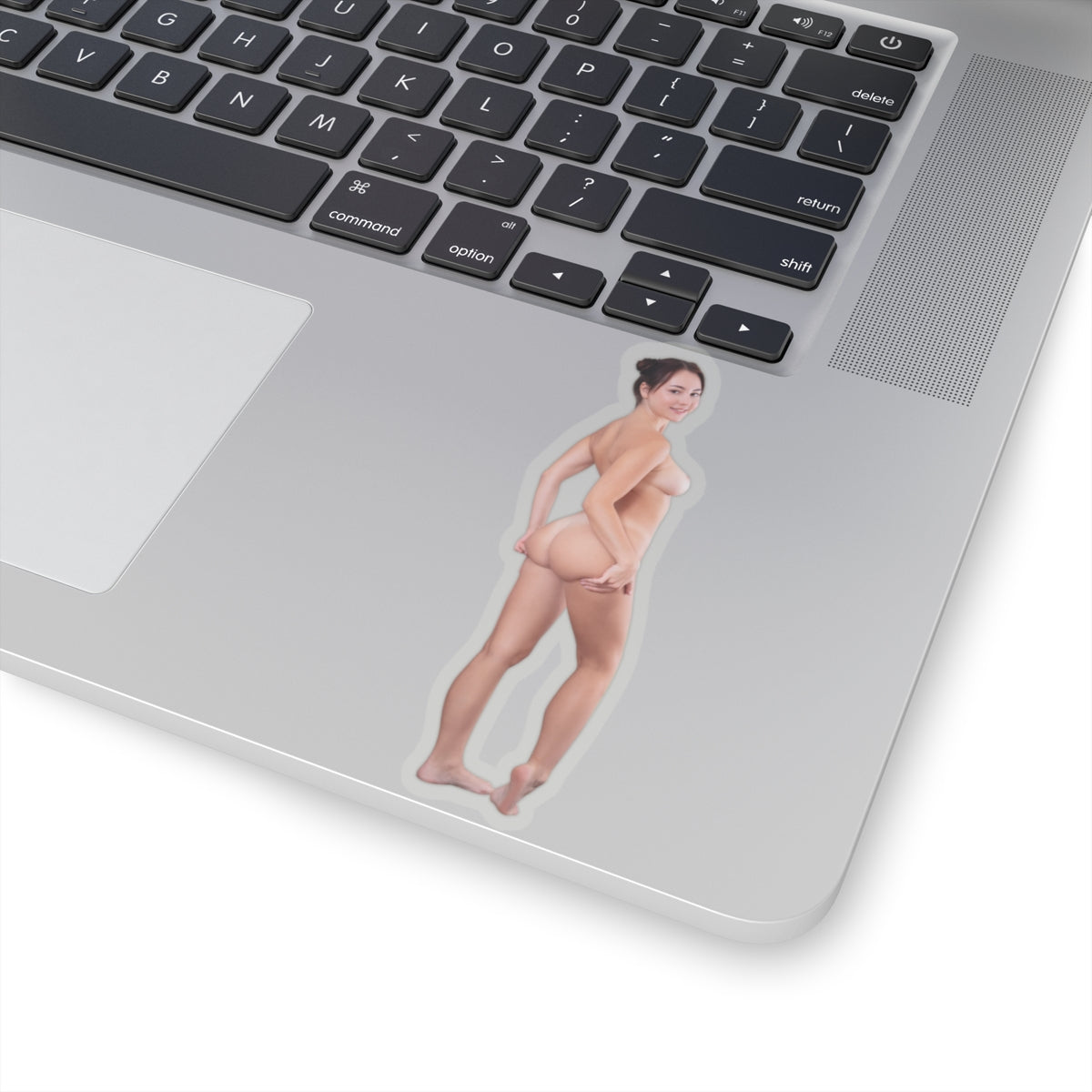 Pinup Stickers Sexy Nude Ass Women Sticker