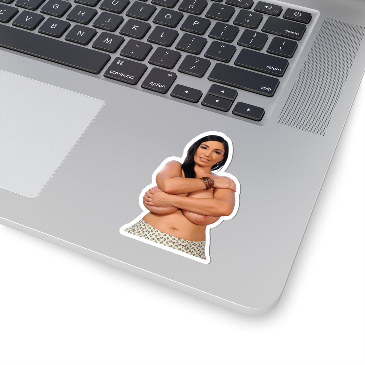 Busty Girl Vinyl Sticker Pinup Model Adult Decal Glamour Artwork