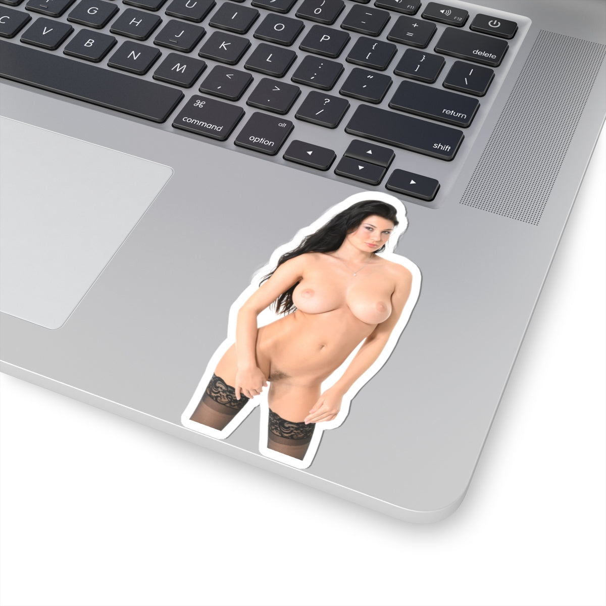 sexy brunette sticker big tits girl pinup model stickers