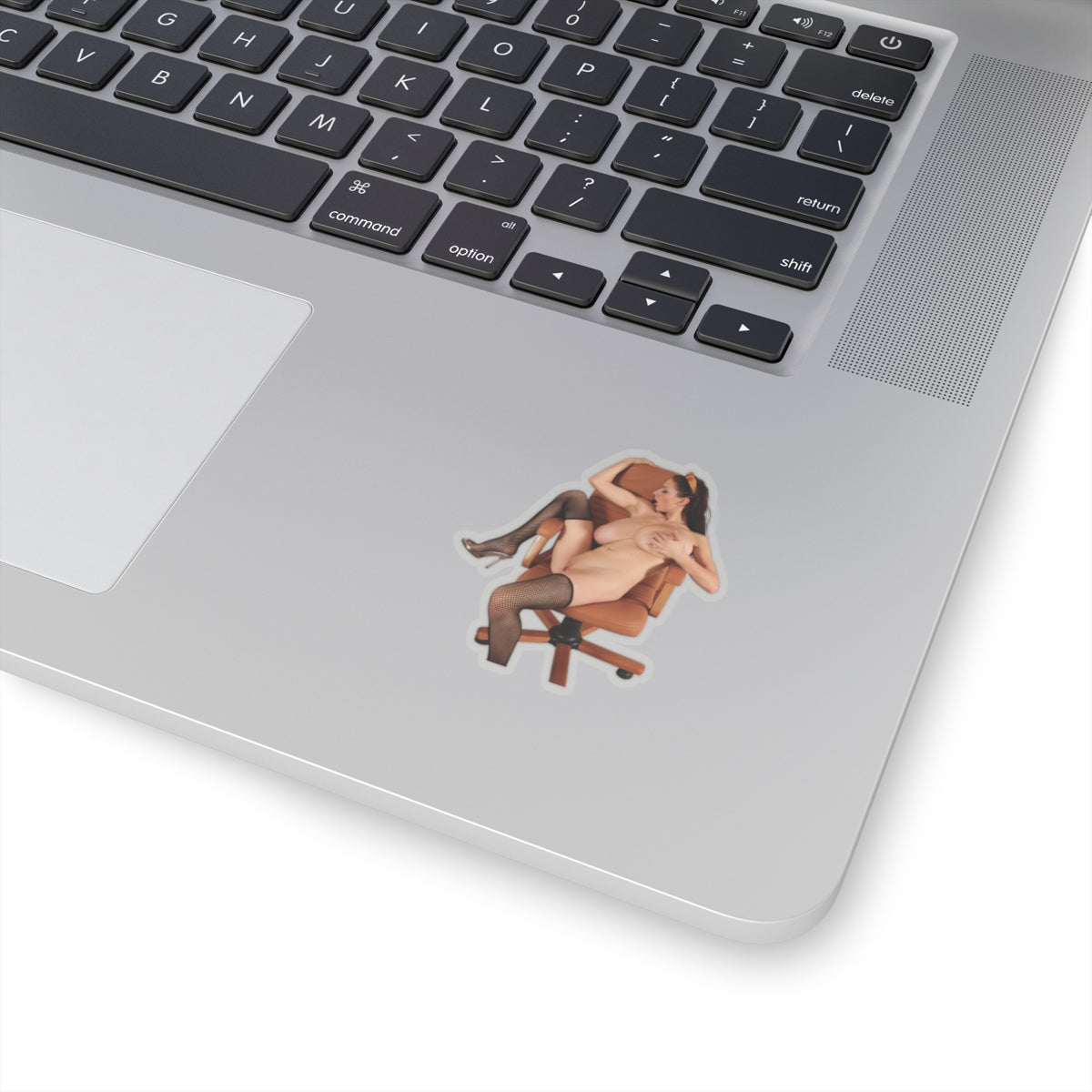 Naked Model Sticker Sexy Girl Big Boob Stickers