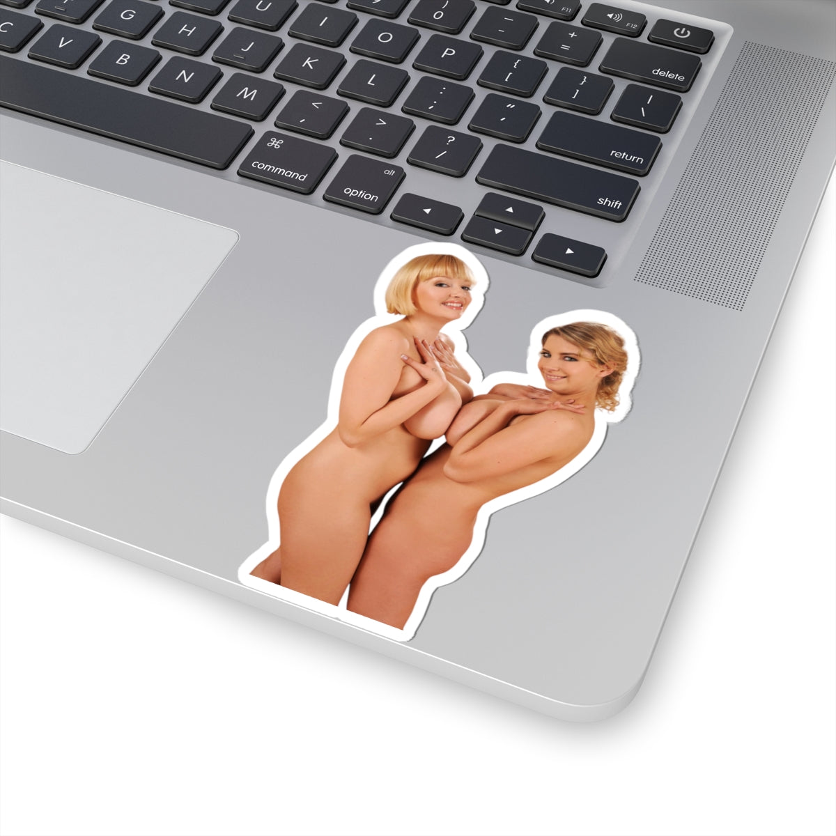 Big Boobs Pinup Girls Stickers Sexy Women Vinyl Art