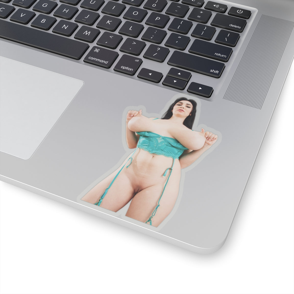 Sexy Girl Sticker Big Tits Women Pinup Naked Uncensored Stickers