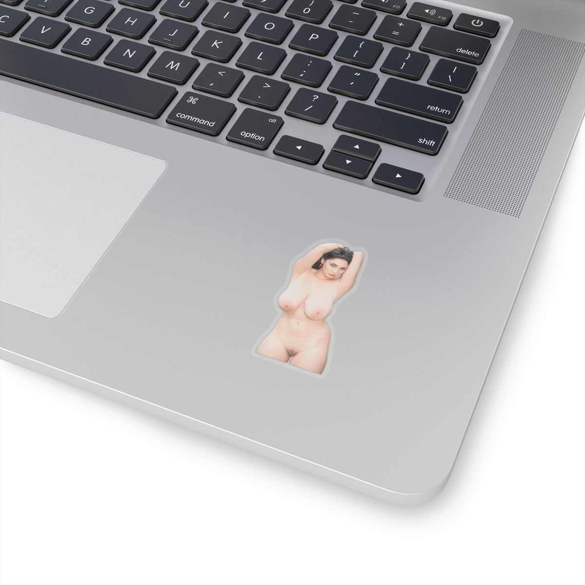 Sexy Girl Sticker Big Tits Nude Women Stickers