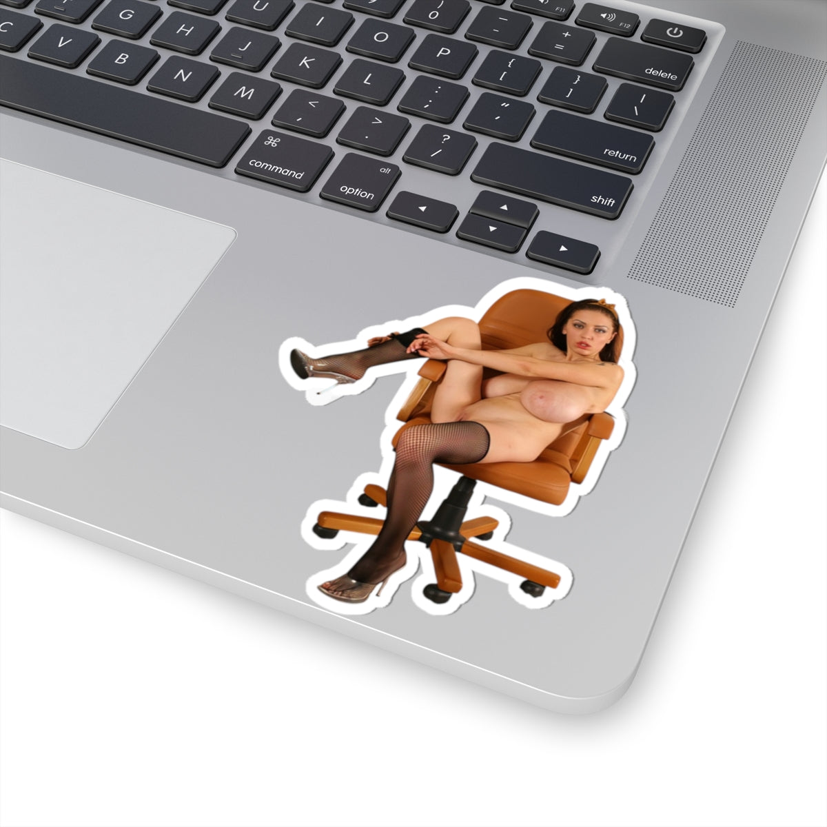 Naked Model Sticker Sexy Girl Big Breast Stickers