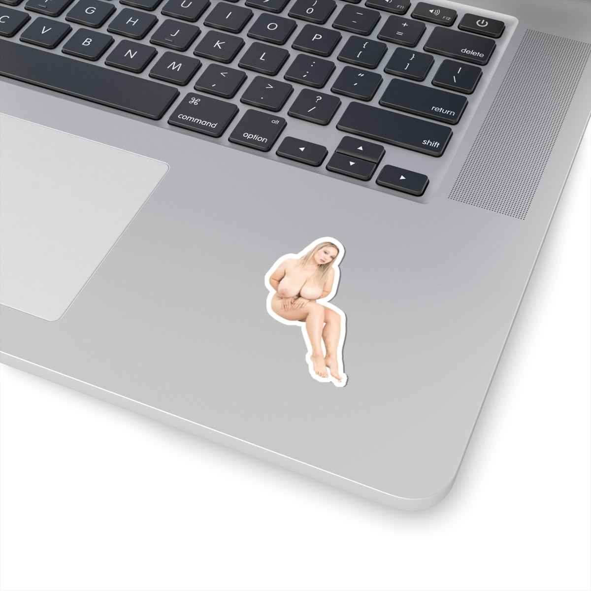 Erotic Sticker Big Tits Pinup Model