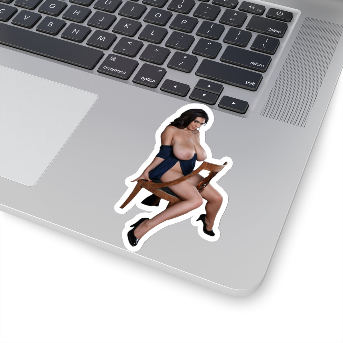 sexy girl sticker,stickers,boobs stickers,tits stickers,vintage girl,retro girl,vintage stickers,retro stickers,classic stickers,E829