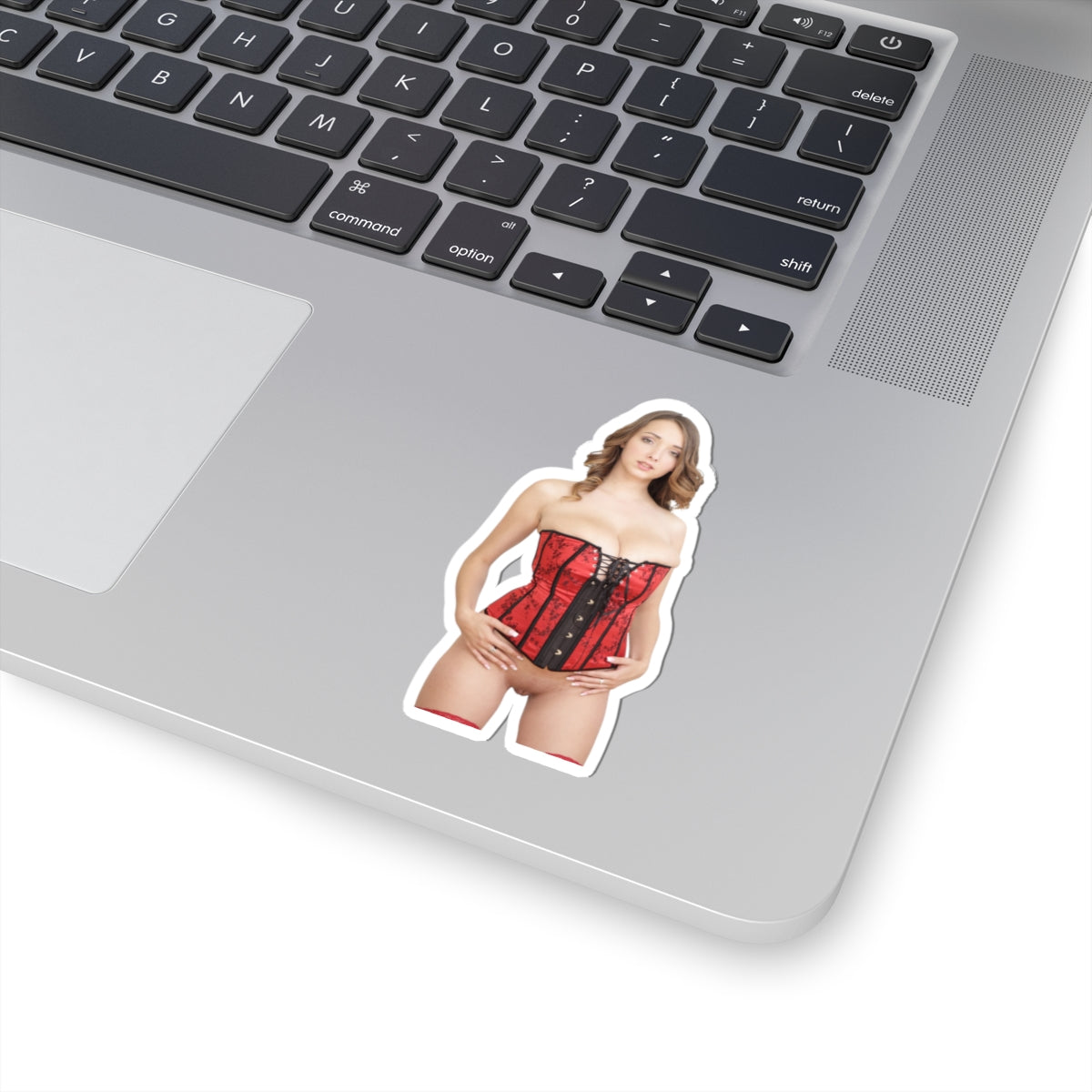 Naked Women Sticker Sexy Adult Stickers
