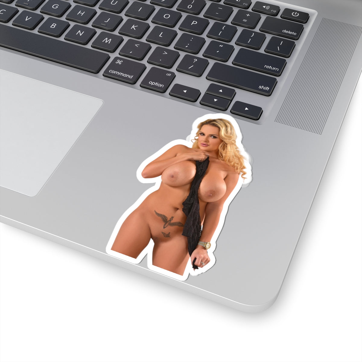 Huge Breast Girl Stickers