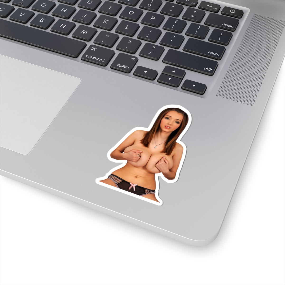 Busty Girl Vinyl Sticker