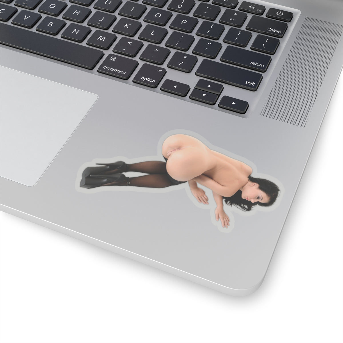sexy brunette sticker big tits girl ass pinup model stickers