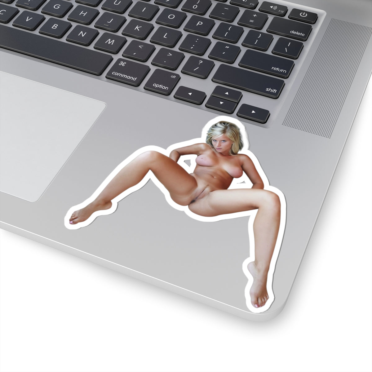 Naked Lady Sticker Funny Adult Vinyl Decal