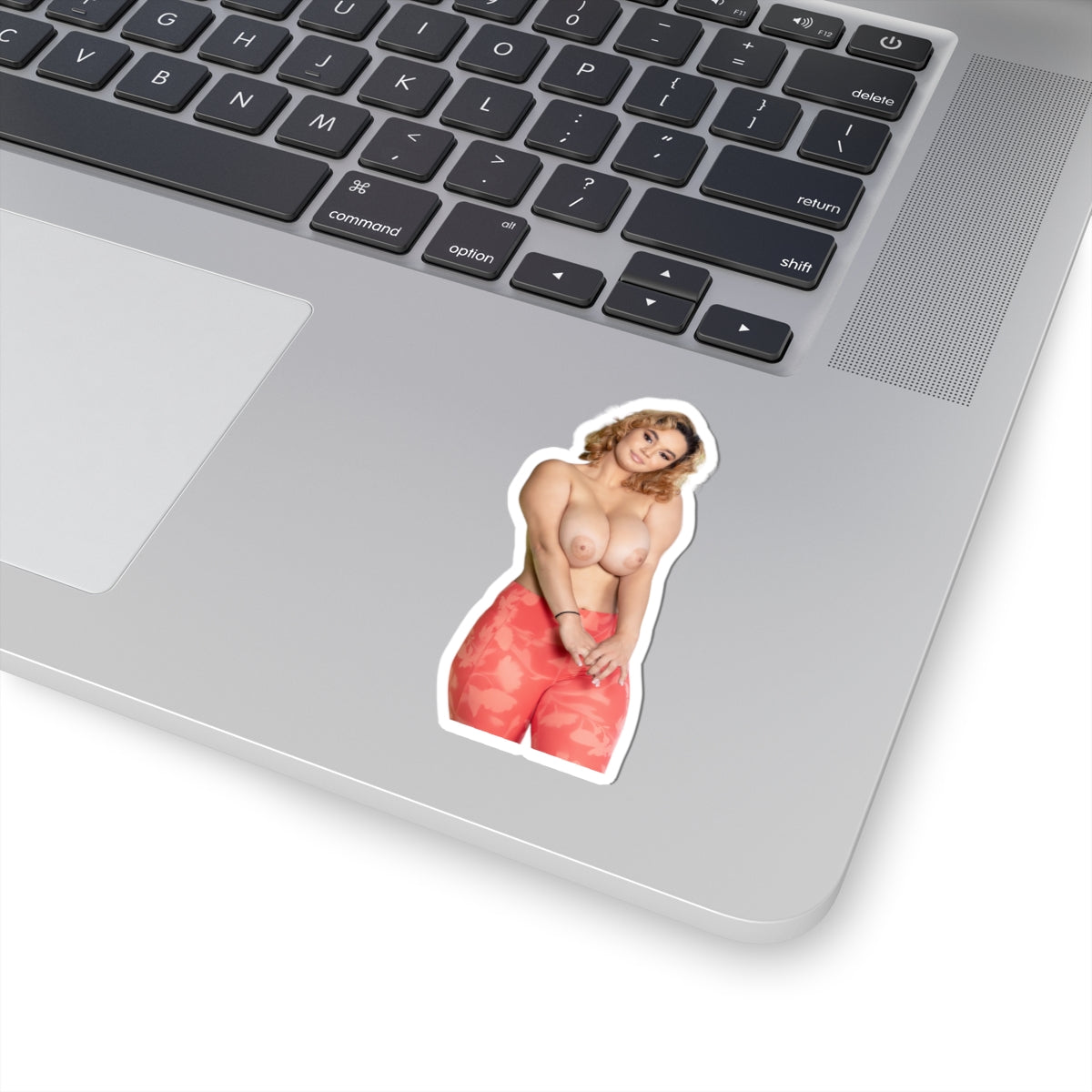 Big Boobs Girl Sticker Pinup Model Adult Stickers
