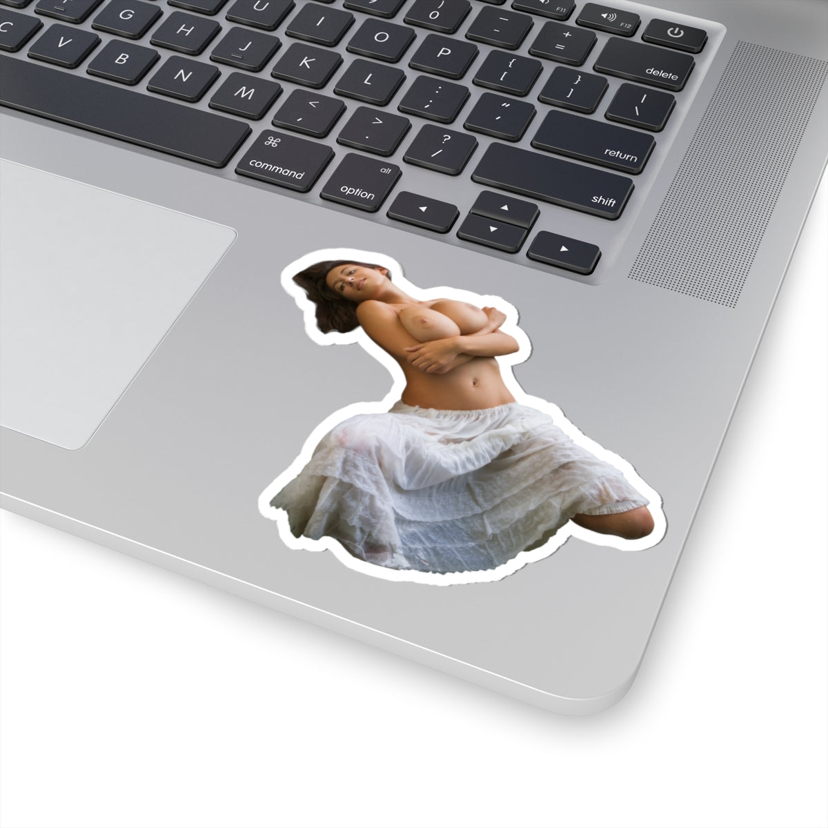 Busty Girl Sticker Big Tits Women
