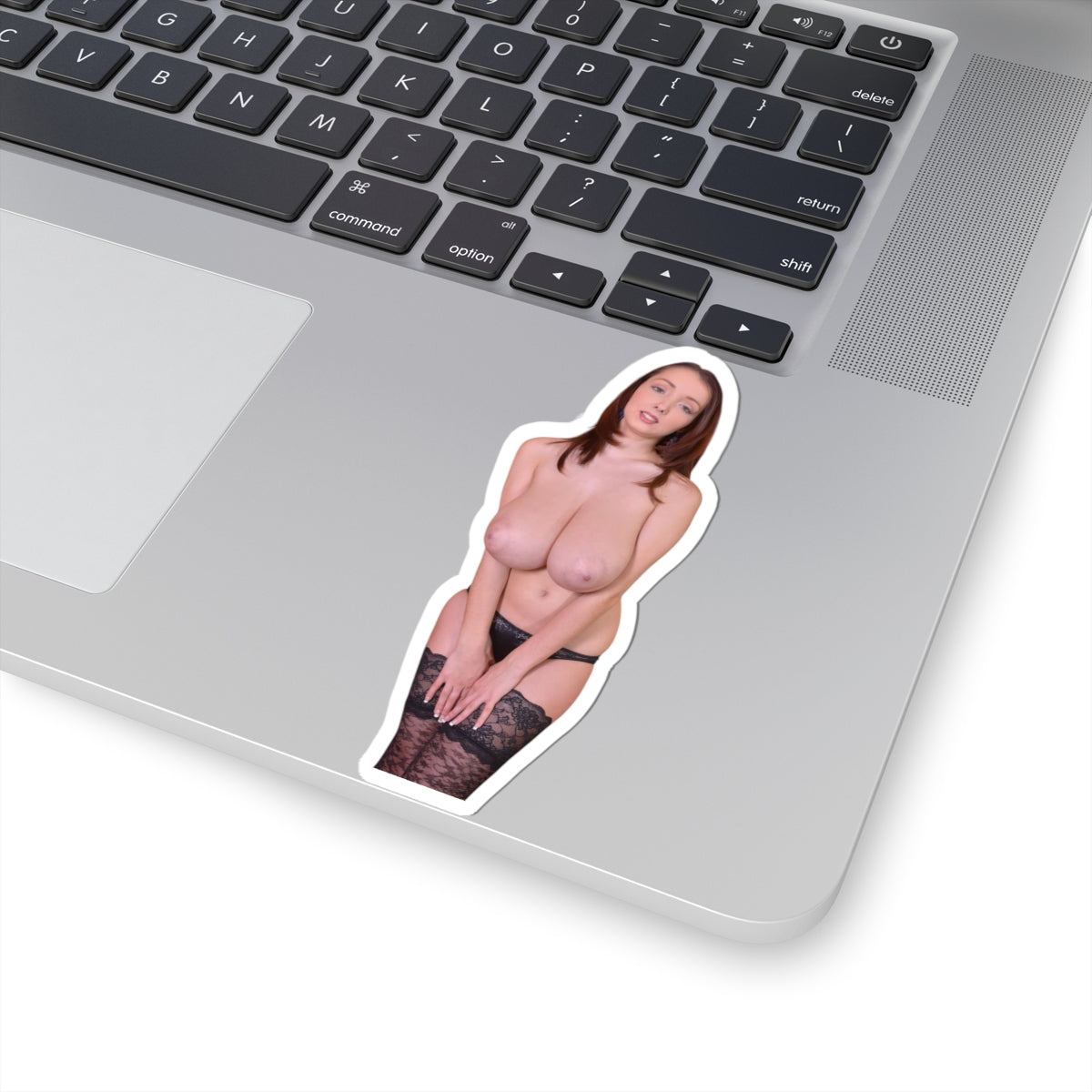Busty Buffy Big Tits Model Sticker Pinup Uncensored Stickers