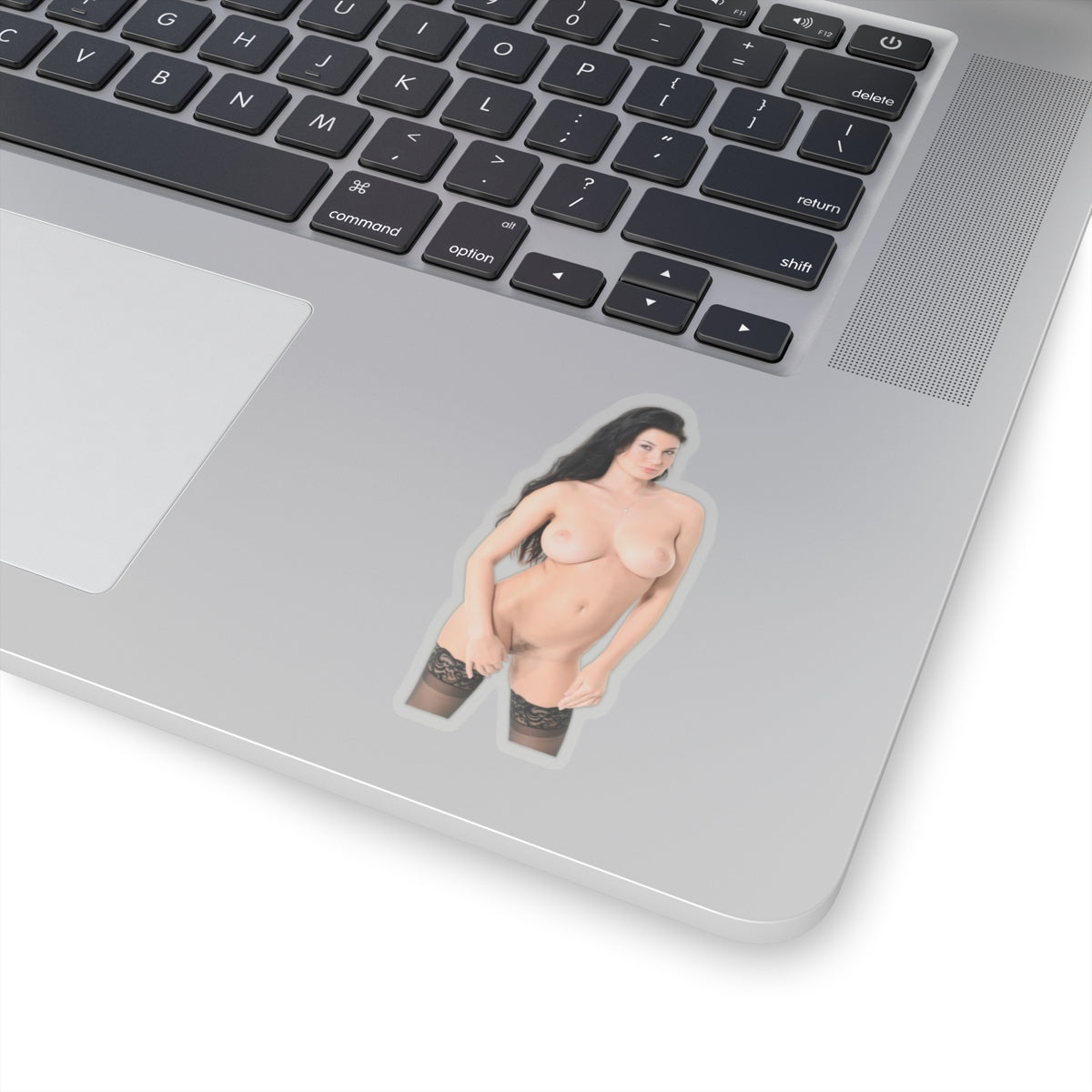sexy brunette sticker big tits girl pinup model stickers
