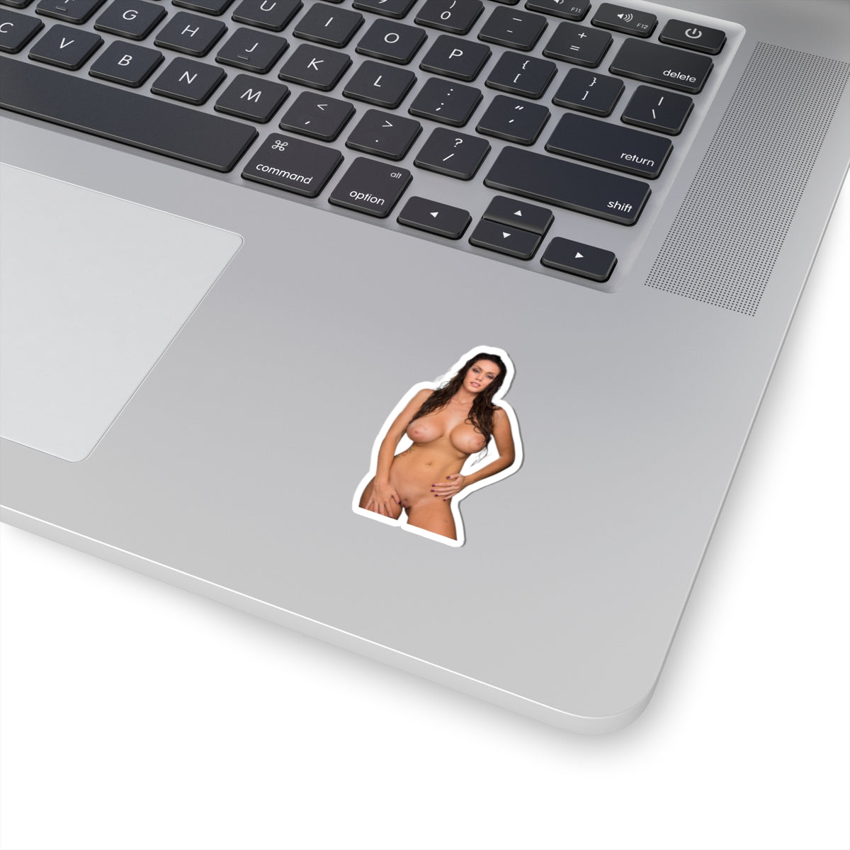 Erotic Sticker Big Tits Pinup Girl Stickers