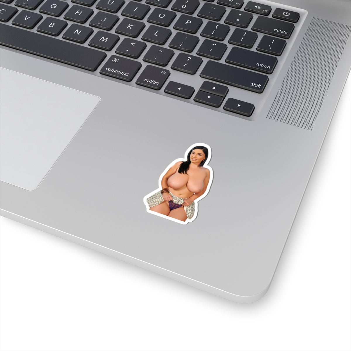 Sexy Pinup Model Vinyl Sticker Woman Decal Adult Art Design