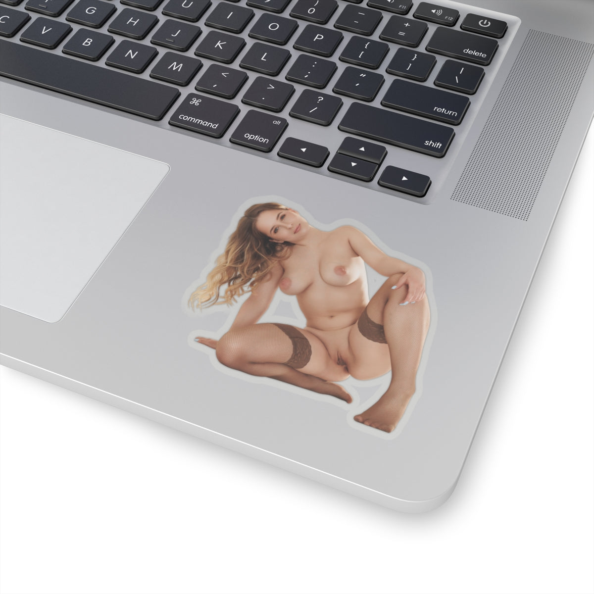 Sexy Girl Sticker Pinup Models Stickers