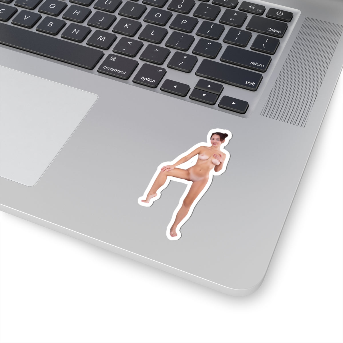 Pinup Stickers Sexy Naked Pretty Girl Sticker