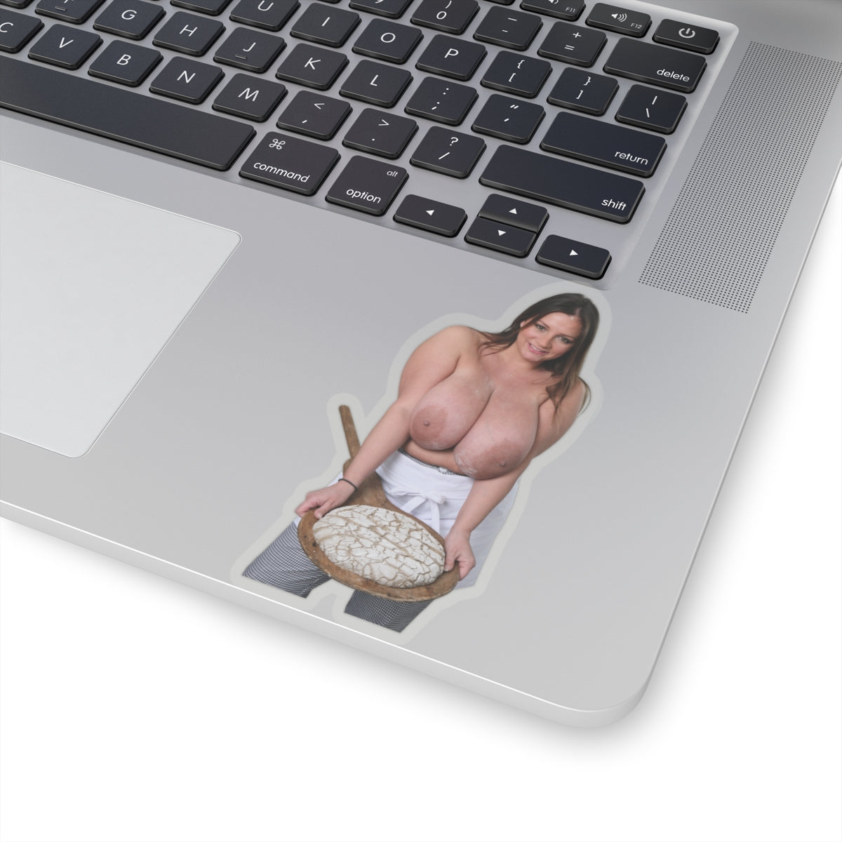 Nadine Jansen Big Tits Model Baker Sticker Sexy Girl Pinup Stickers