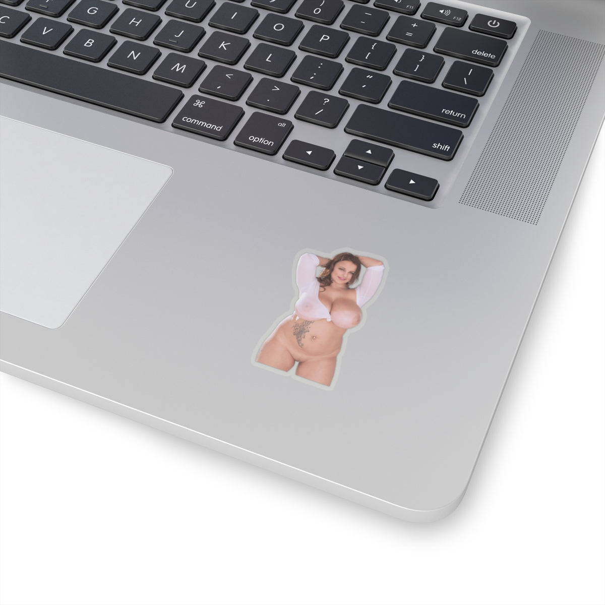 Terri Jane Sticker Big Tits Model Stickers