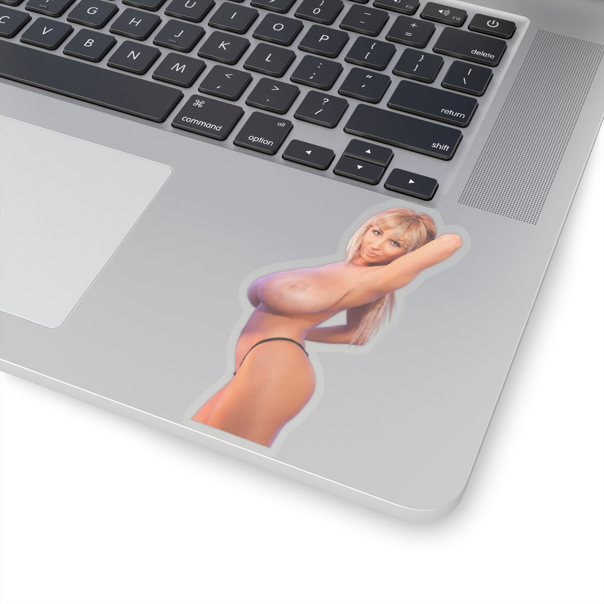 Sexy Girl Sticker Big Tits Women Pinup Model Uncensored Adult Laptop Water Bottle Vinyl Stickers E500