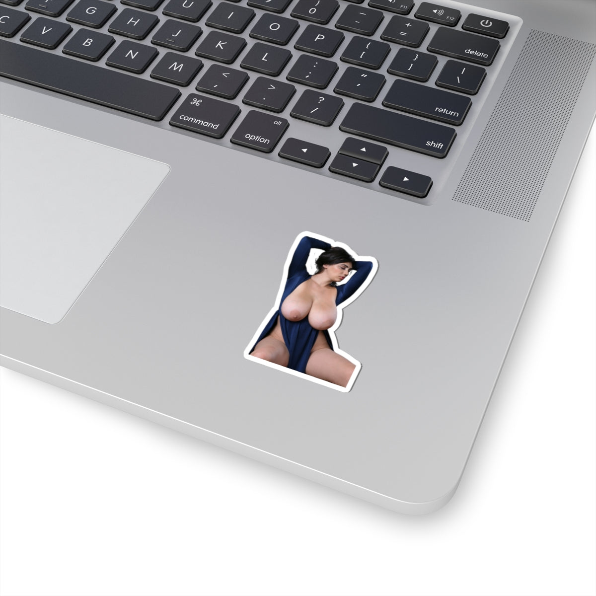 Pinup,pinup sticker,pinup stickers,pinup girl,pinup women,pinup model,sex girl,sexy girl sticker,sexy girls stickers,sexy girls,mens stickers,stickers for men,E825