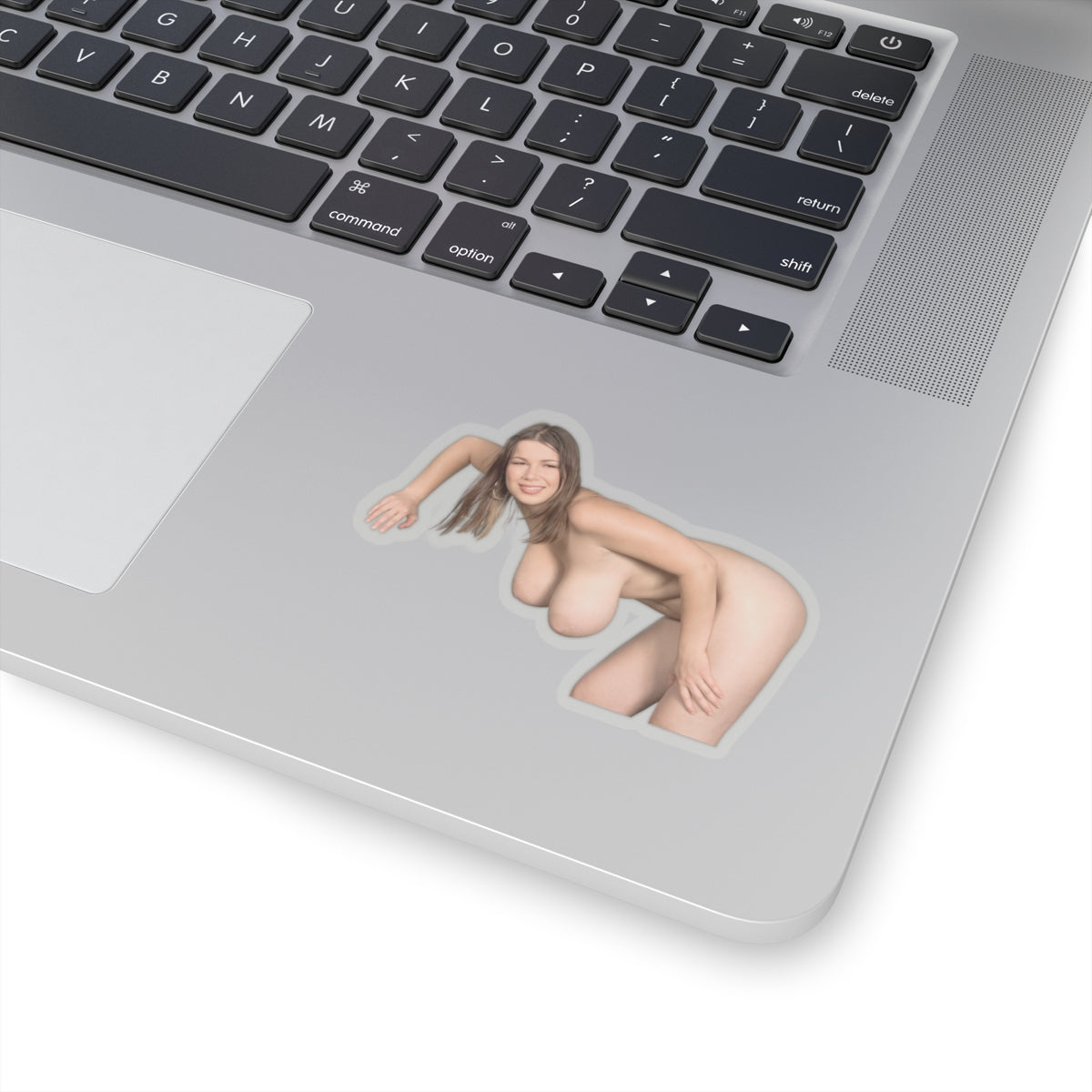 Terry Nova Sticker Naked Pretty Girl Stickers