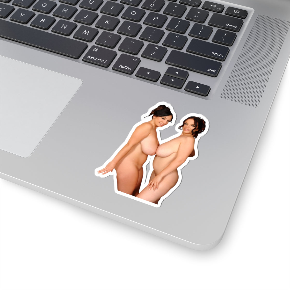 big boobs girl stickers