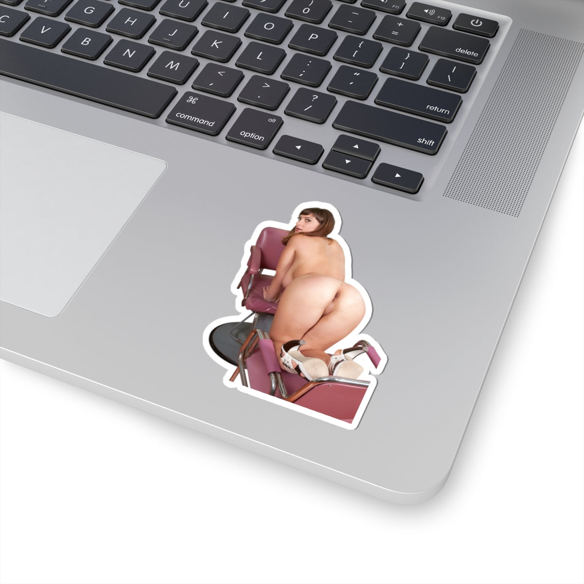 Sexy Ass Girl Sticker Pinup Stickers