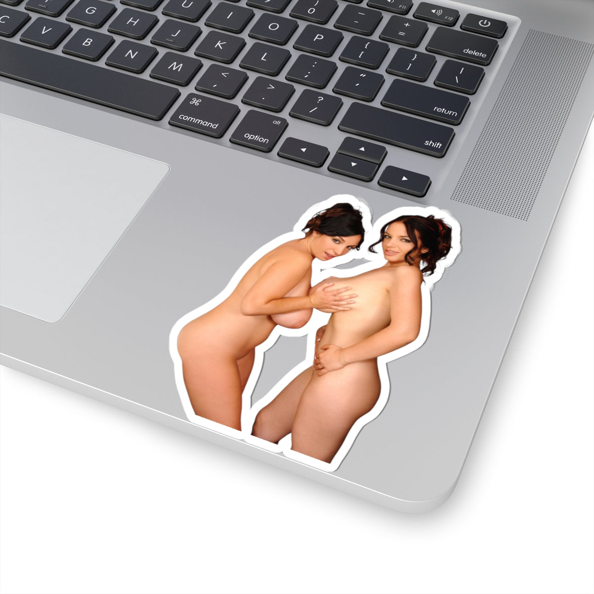 big tits girls sticker naked women stickers big boobs decals