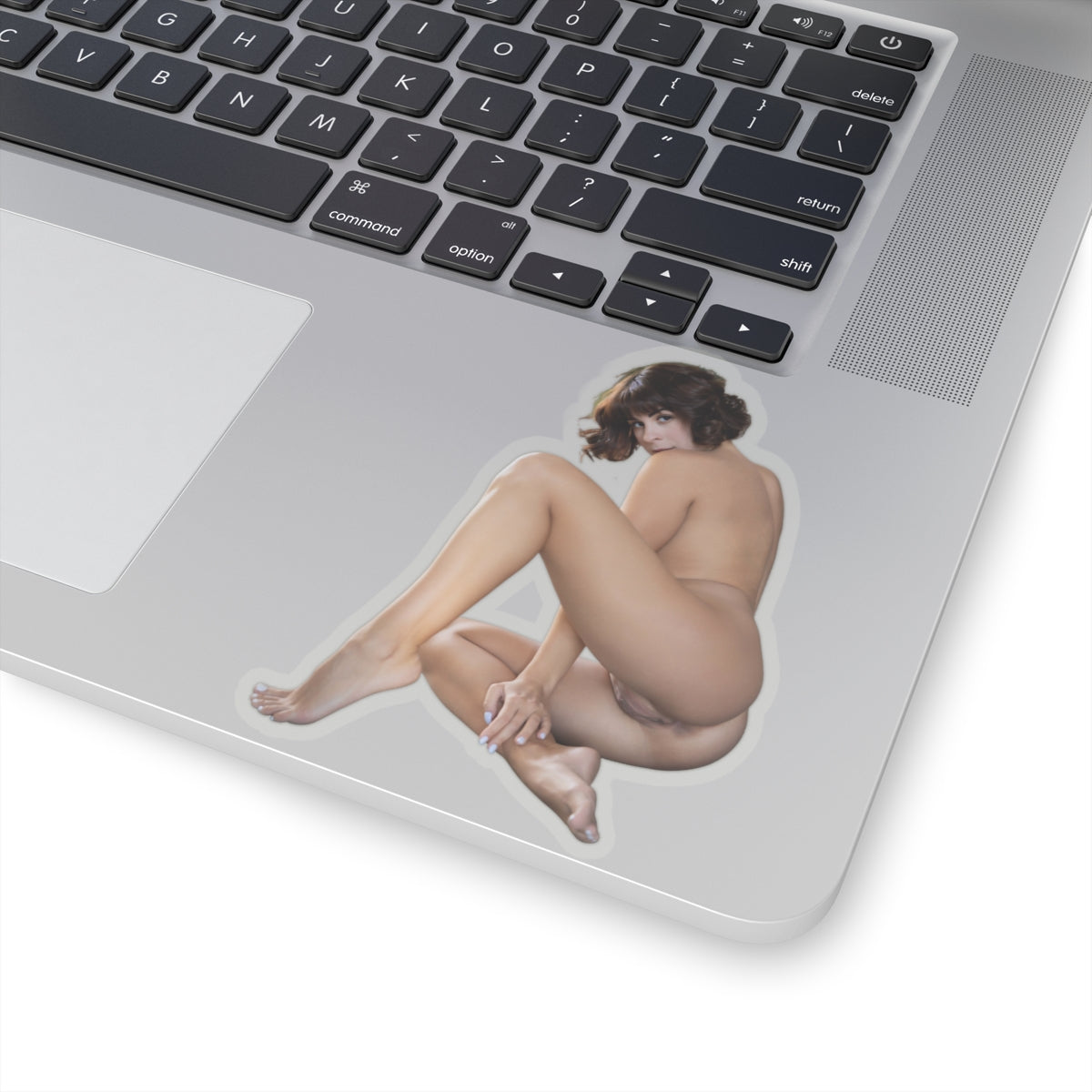 Hot Pinup Model Sticker Naked Ass Girl Stickers
