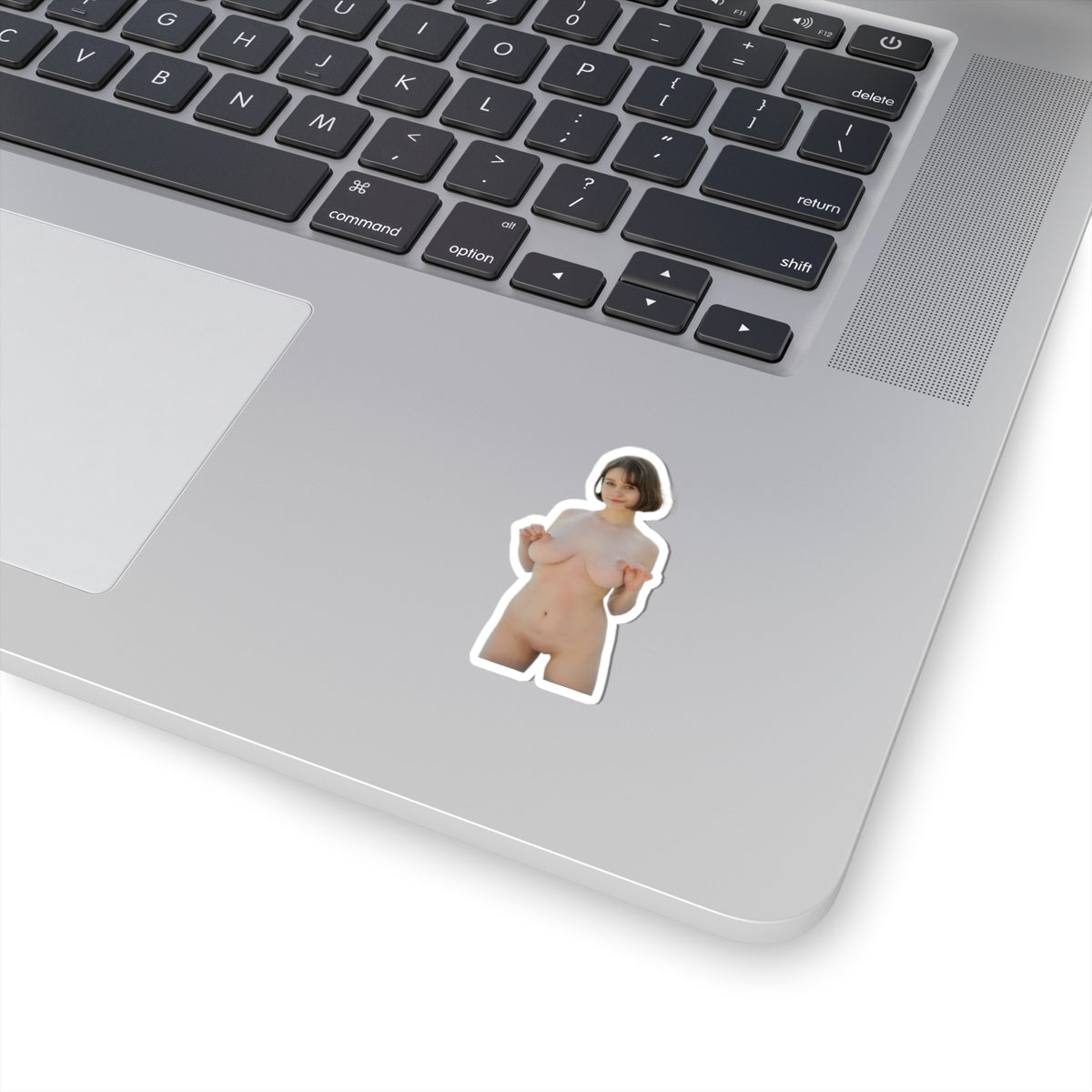 Sexy Pinup Model Stickers
