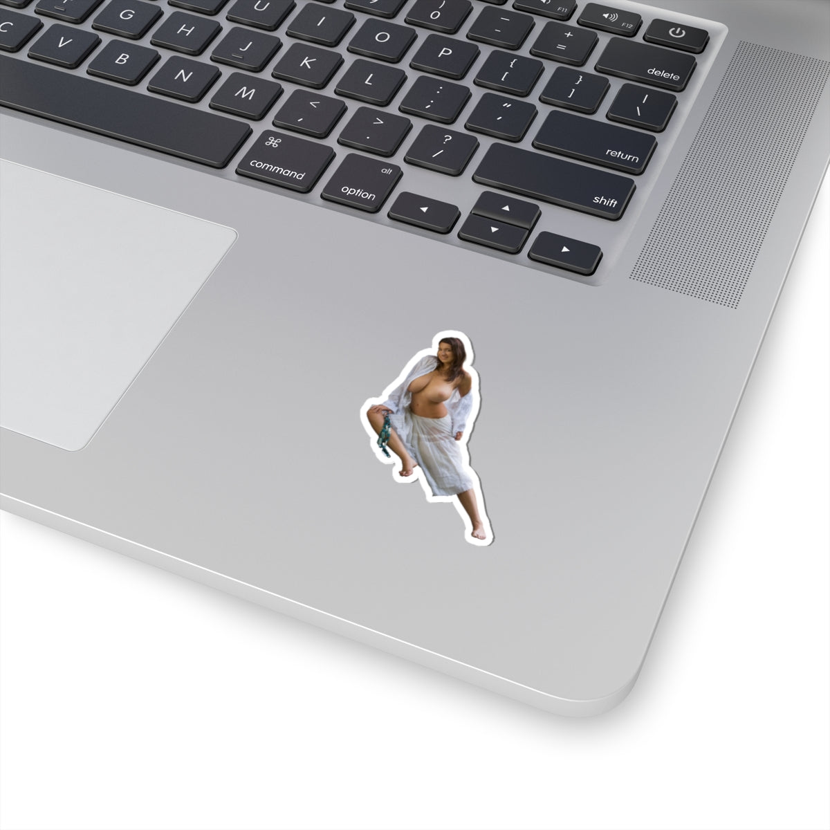 Busty Girl Sticker Sexy Model Stickers
